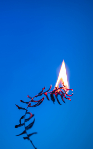 Fire
